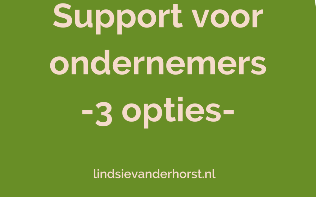 Help! Drie opties voor support voor ondernemers